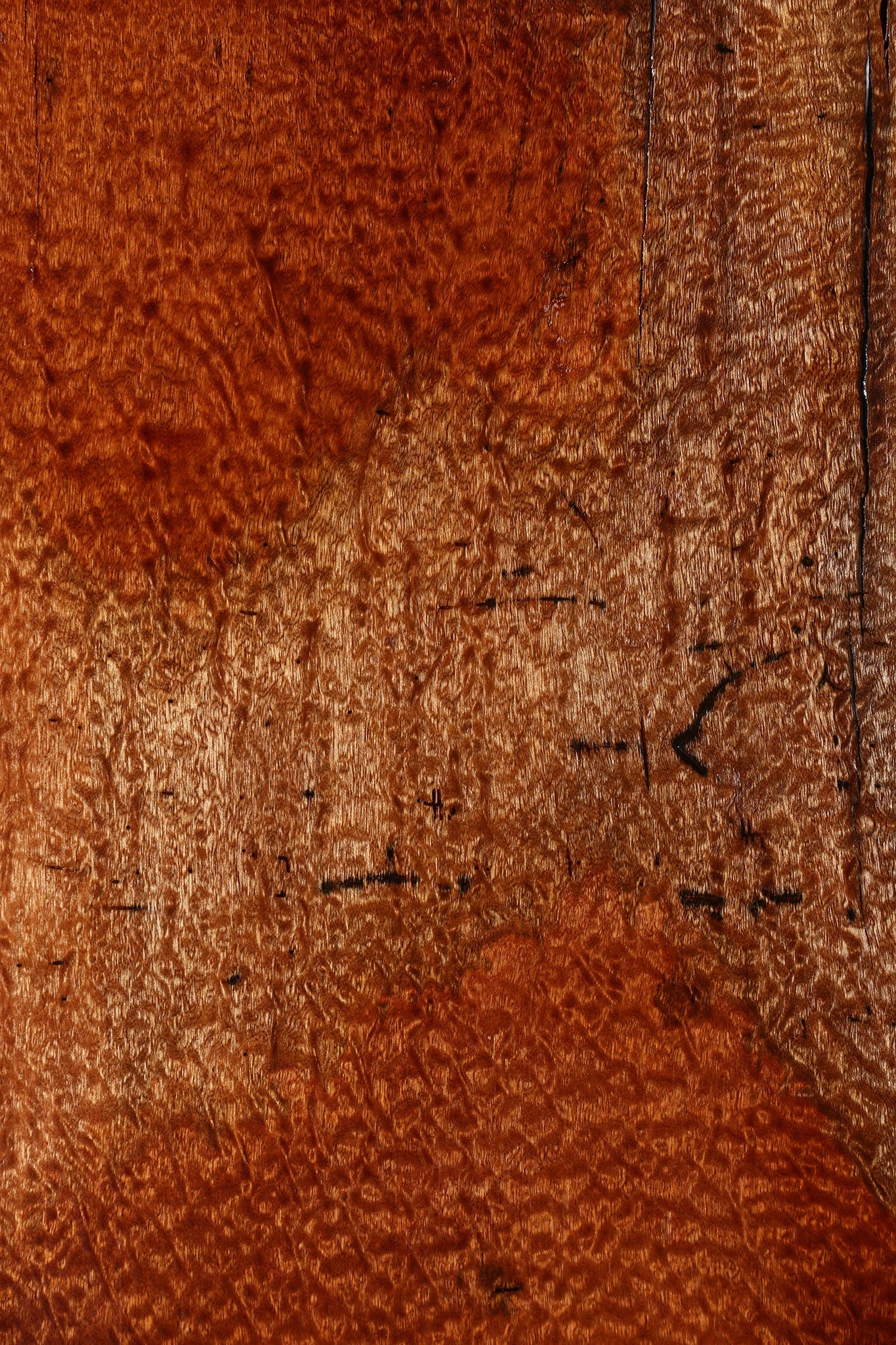 Rustic Pomelle Sapele Live Edge Mini Slab