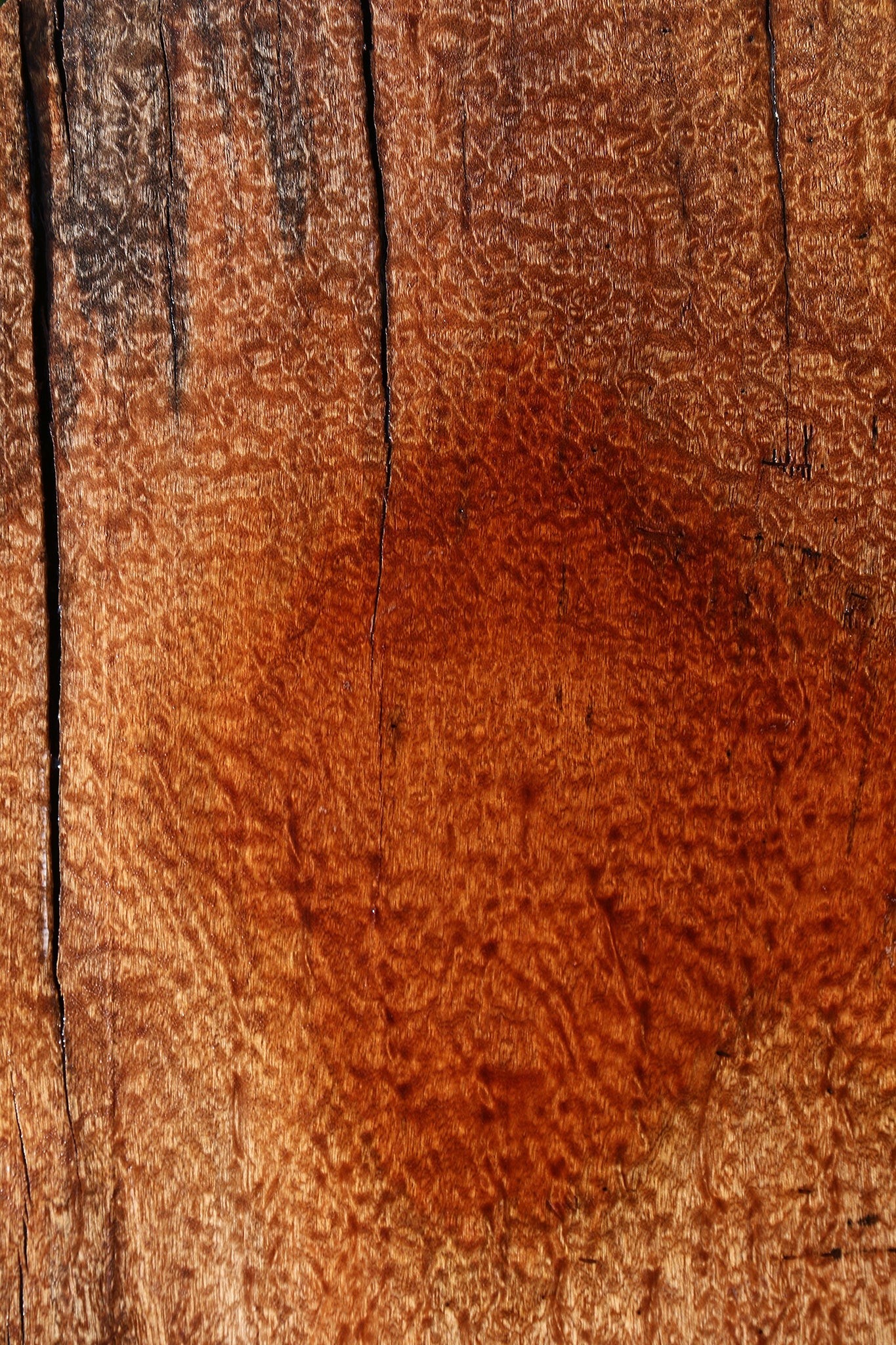 Rustic Pomelle Sapele Live Edge Mini Slab