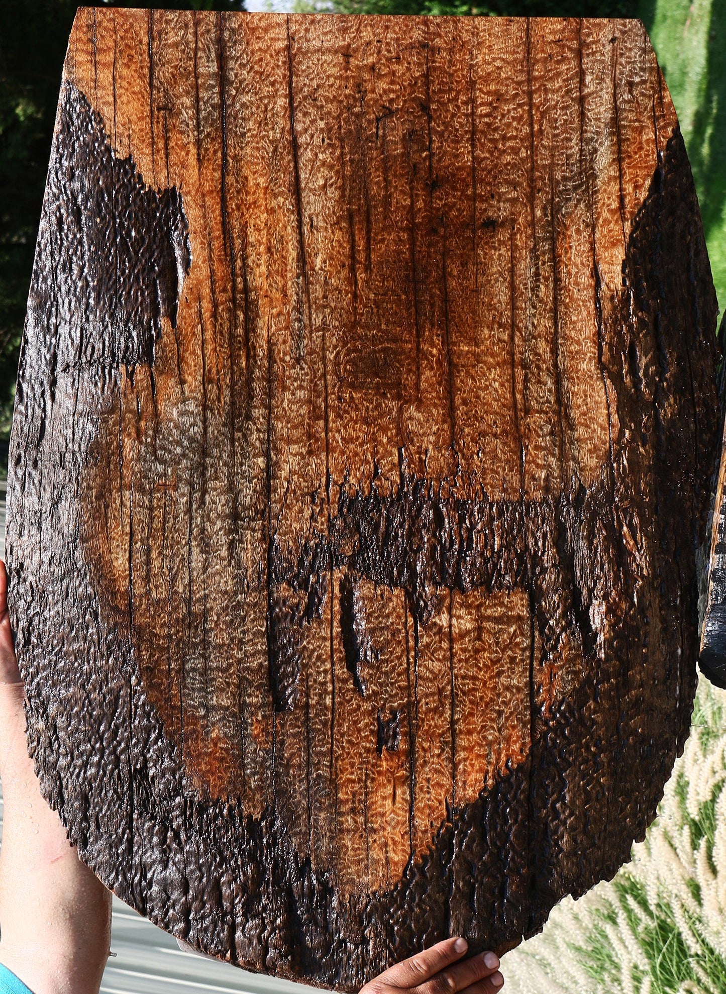 Rustic Pomelle Sapele Live Edge Mini Slab