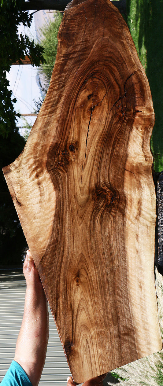 Extra Fancy English Walnut Live Edge Slab (Free Shipping Excluded)