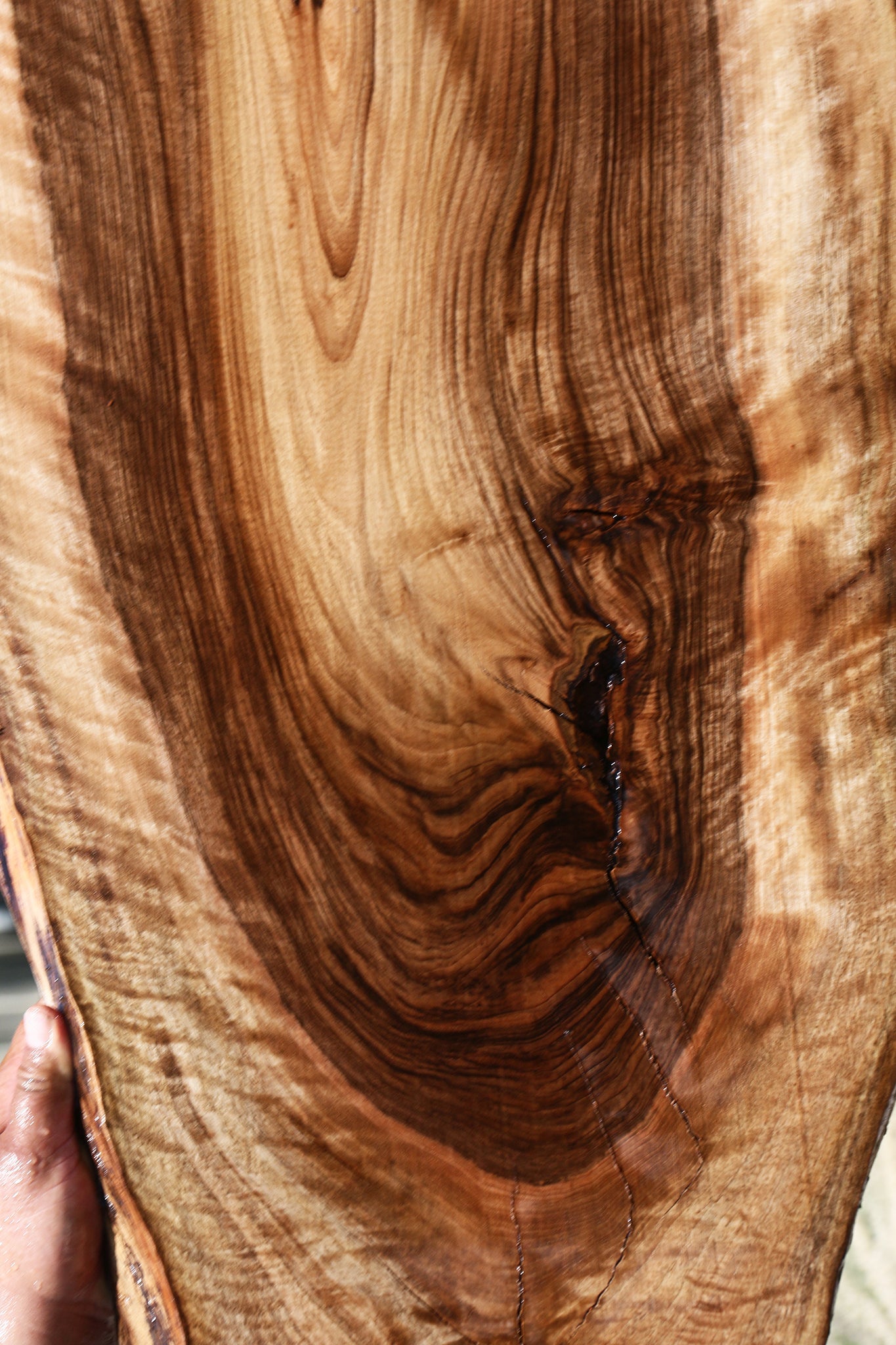 Extra Fancy English Walnut Live Edge Slab (Free Shipping Excluded)