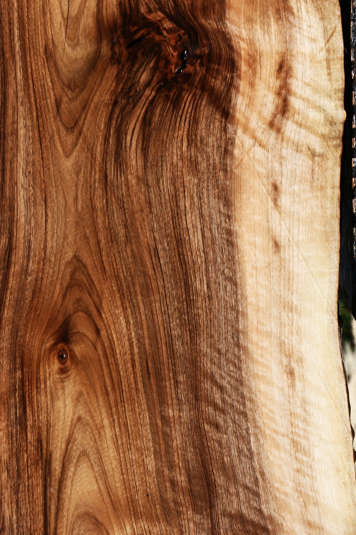 Extra Fancy English Walnut Live Edge Slab (Free Shipping Excluded)