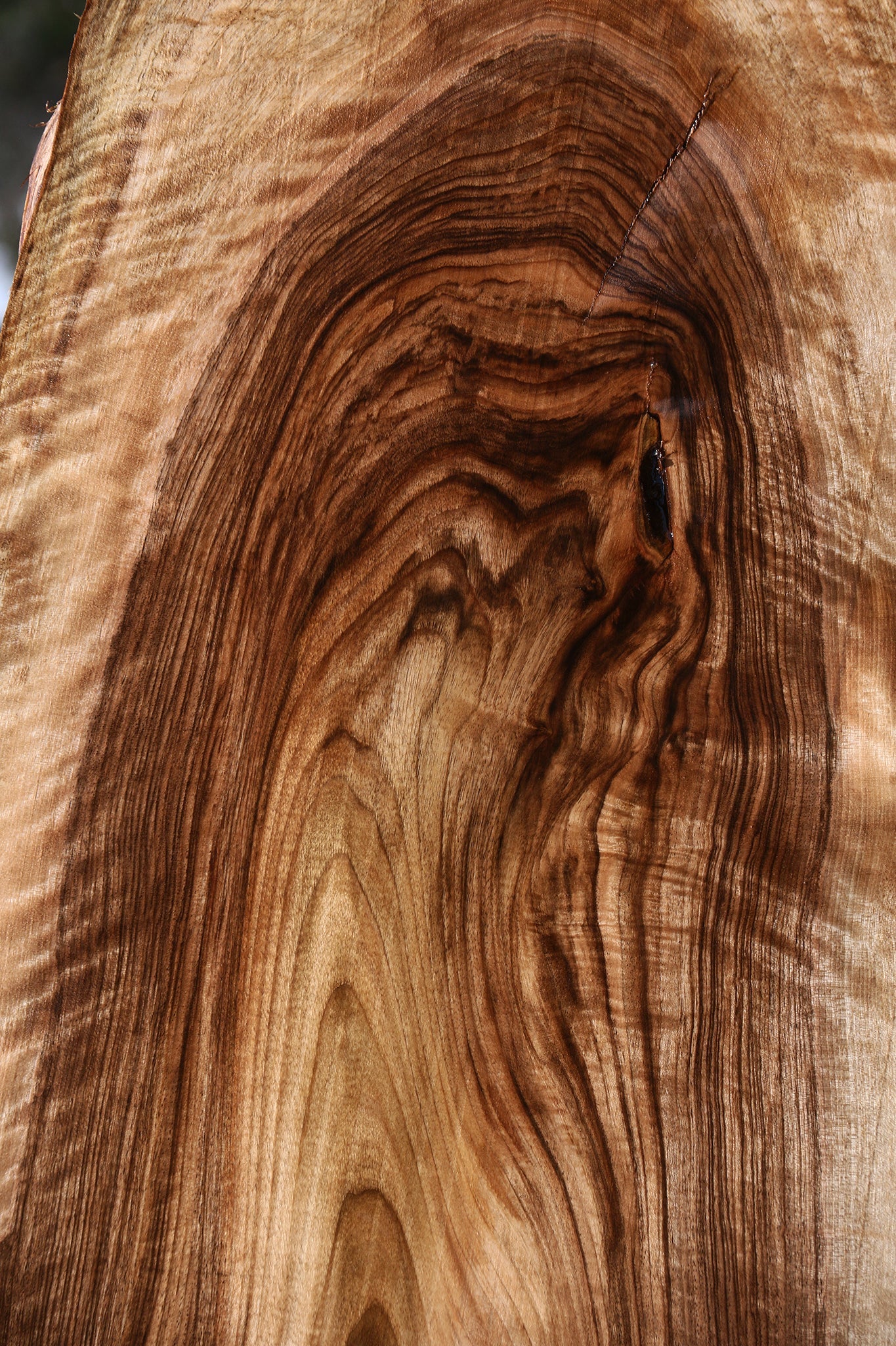 Extra Fancy Rustic English Walnut Live Edge Mini Slab