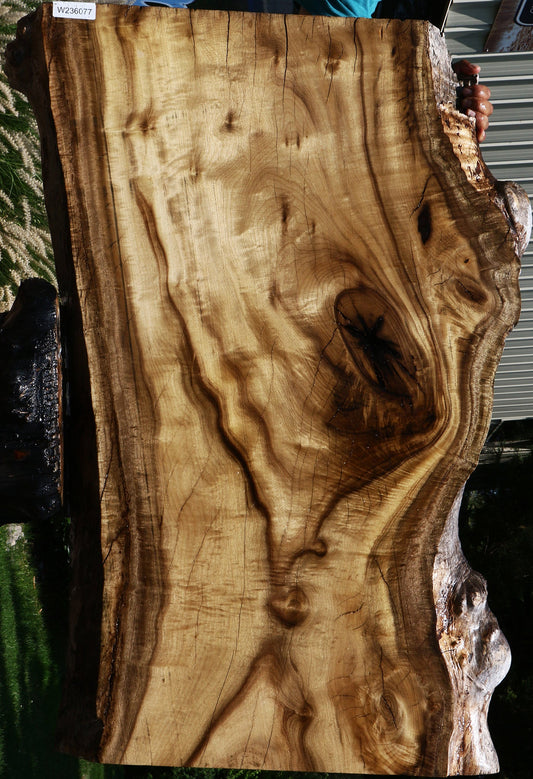 Figured Myrtle Live Edge Slab (Free Shipping Excluded)