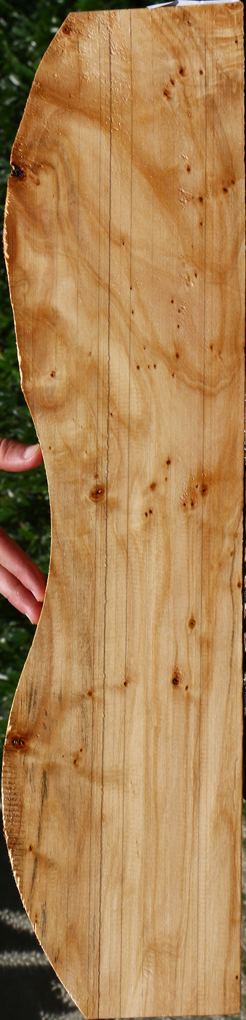 Black Cottonwood Micro Lumber