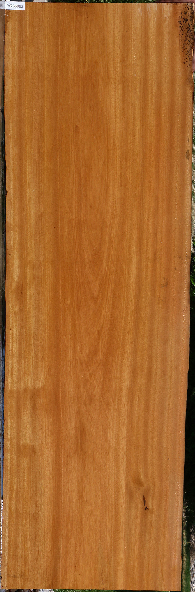 Piquiarana Live Edge Slab