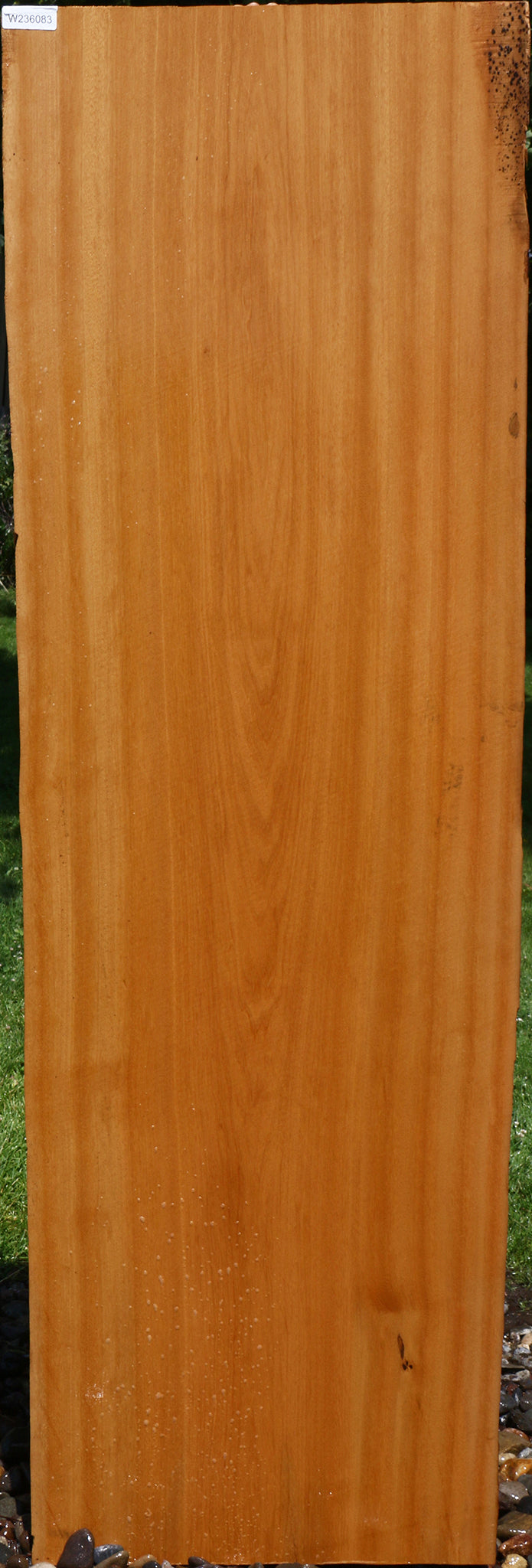 Piquiarana Live Edge Slab