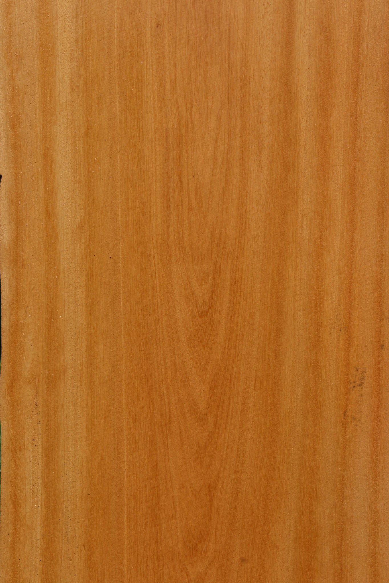 Piquiarana Live Edge Slab