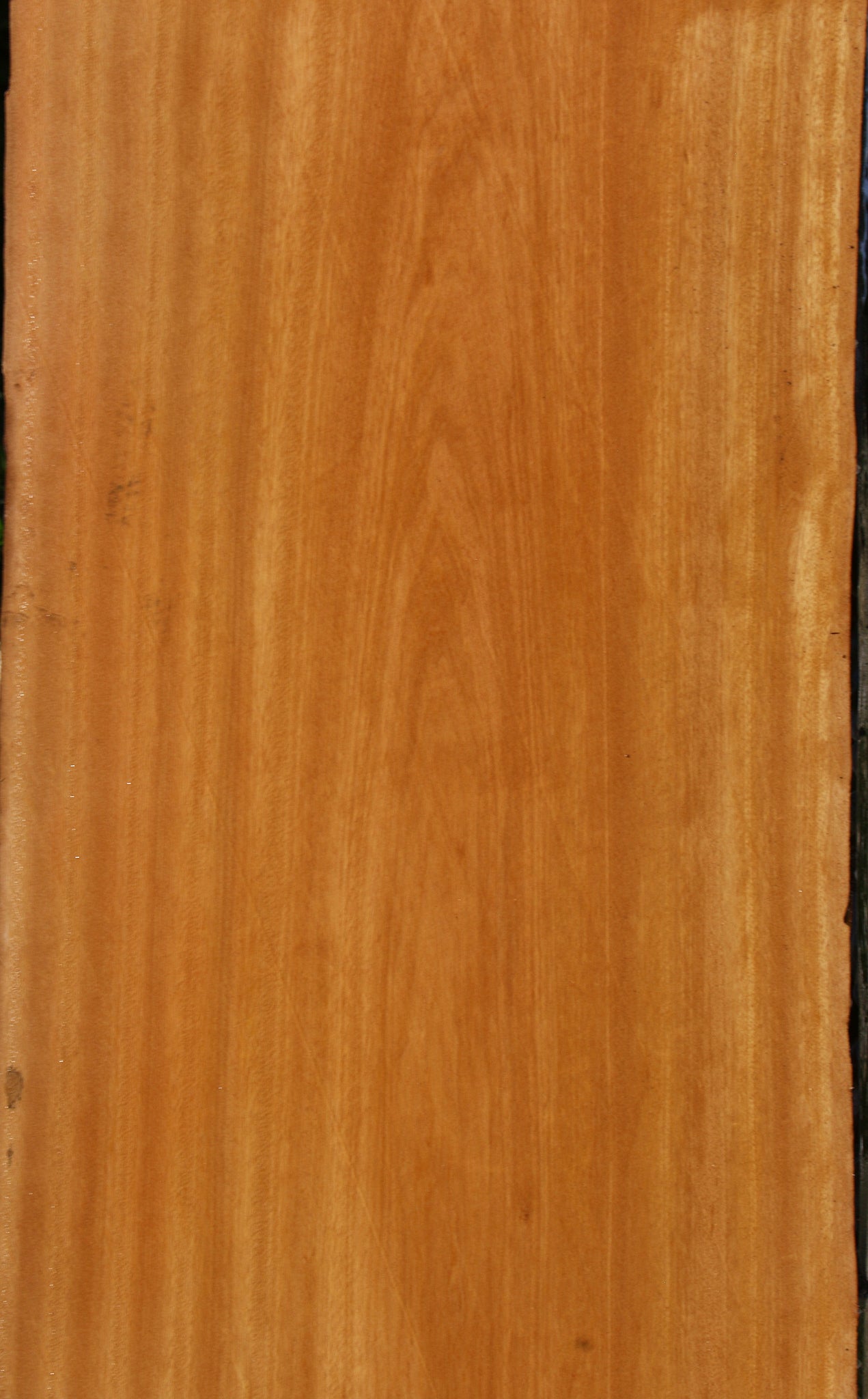 Piquiarana Live Edge Slab