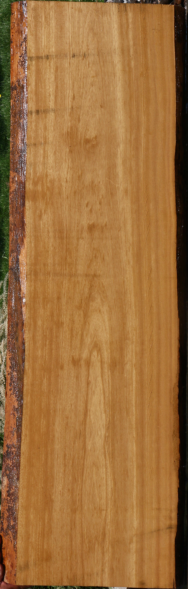 Piquiarana Live Edge Slab