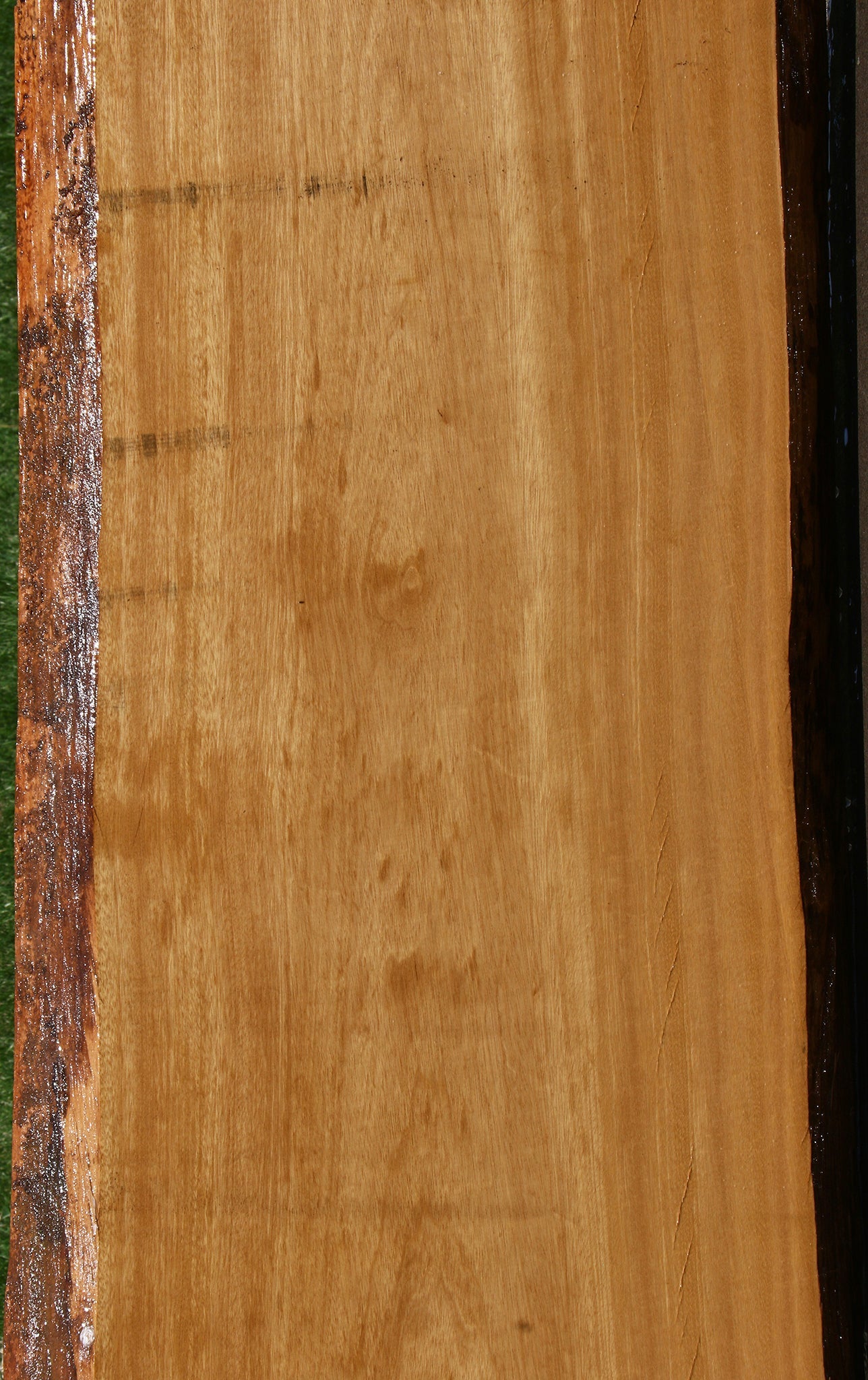 Piquiarana Live Edge Slab