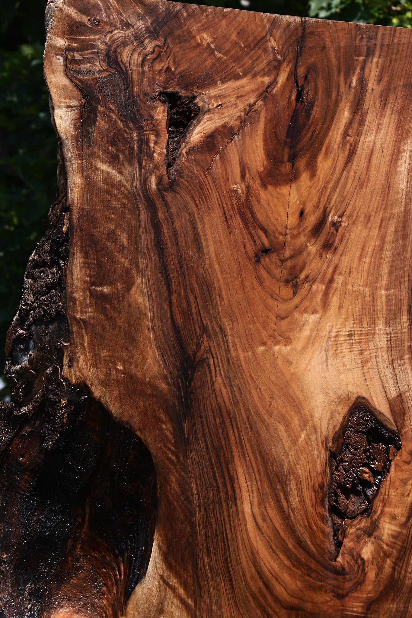 Extra Fancy English Walnut Live Edge Slab
