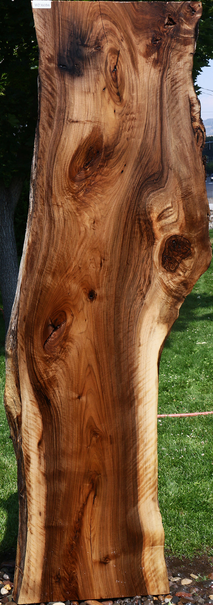 Extra Fancy English Walnut Live Edge Slab
