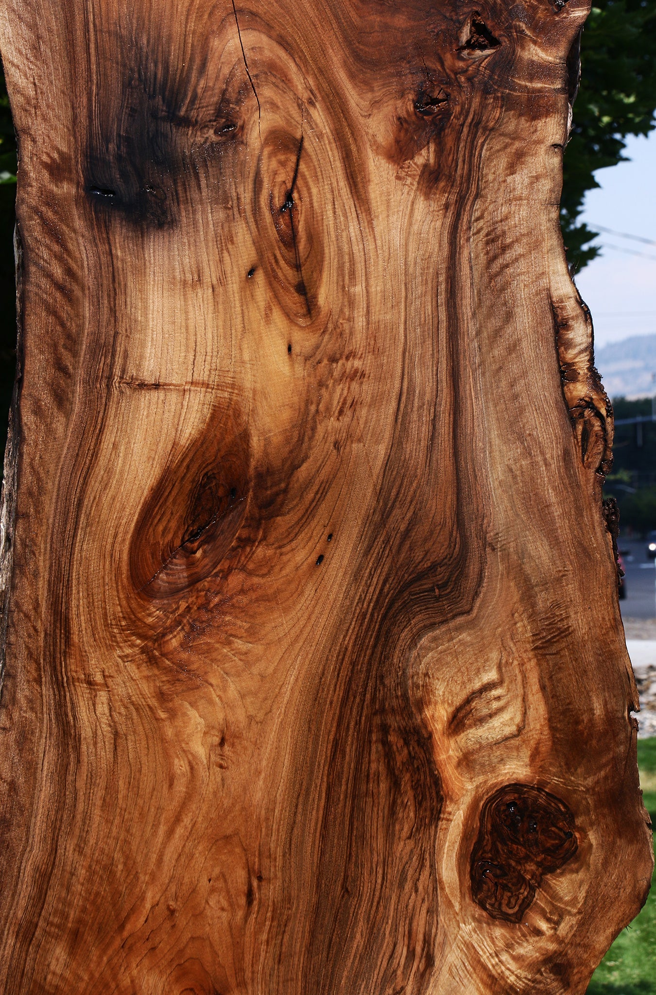 Extra Fancy English Walnut Live Edge Slab