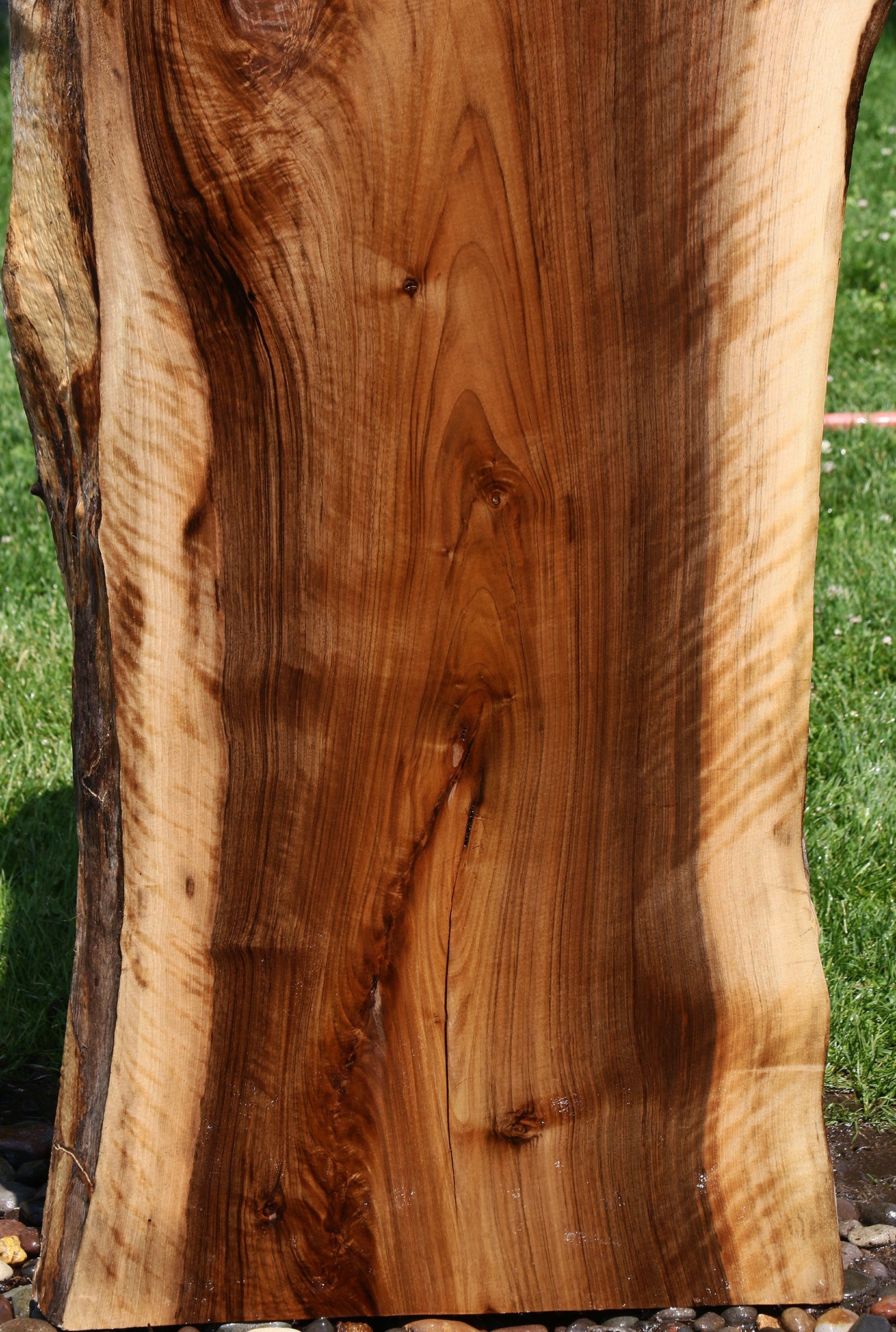 Extra Fancy English Walnut Live Edge Slab
