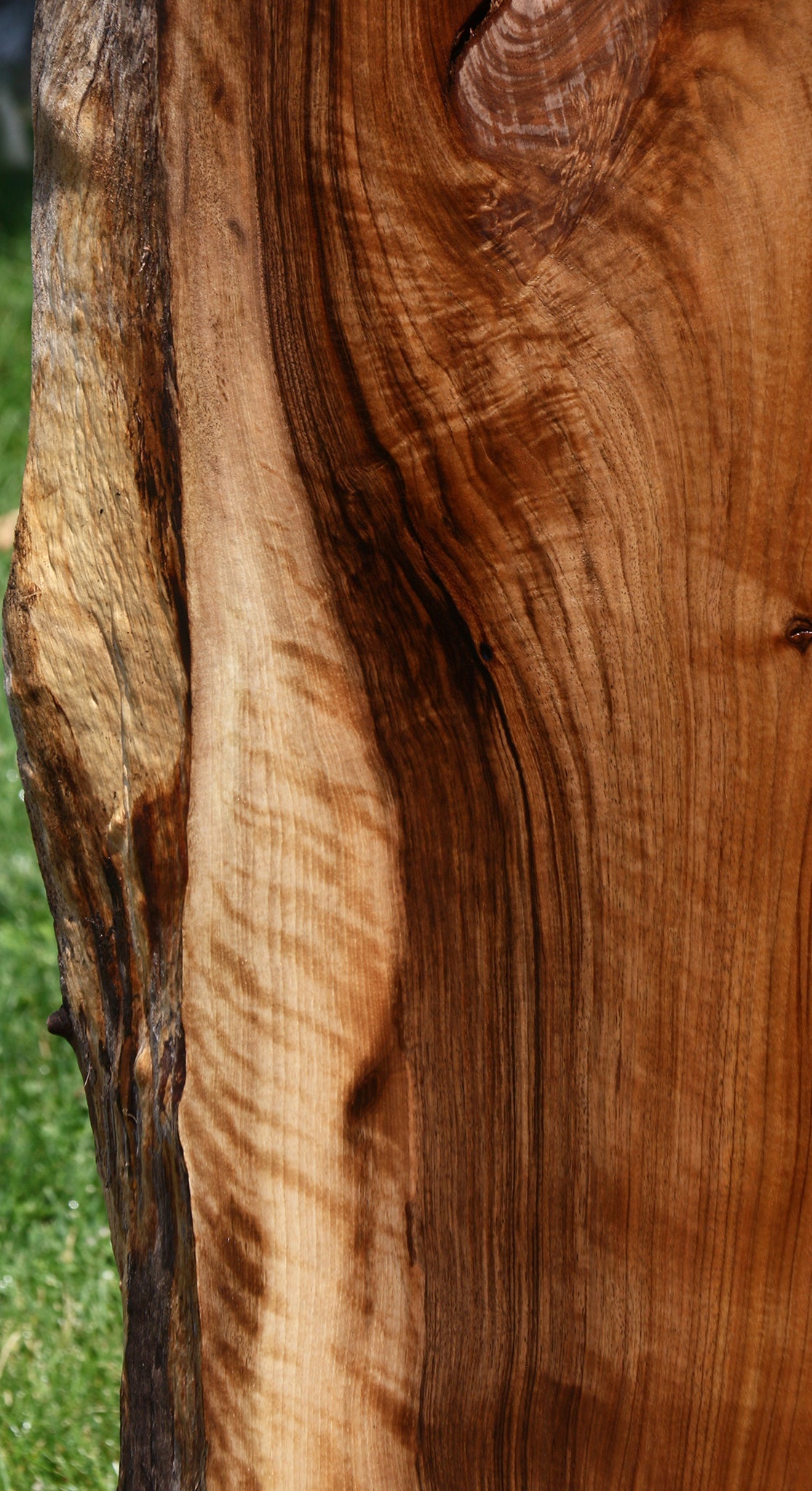 Extra Fancy English Walnut Live Edge Slab