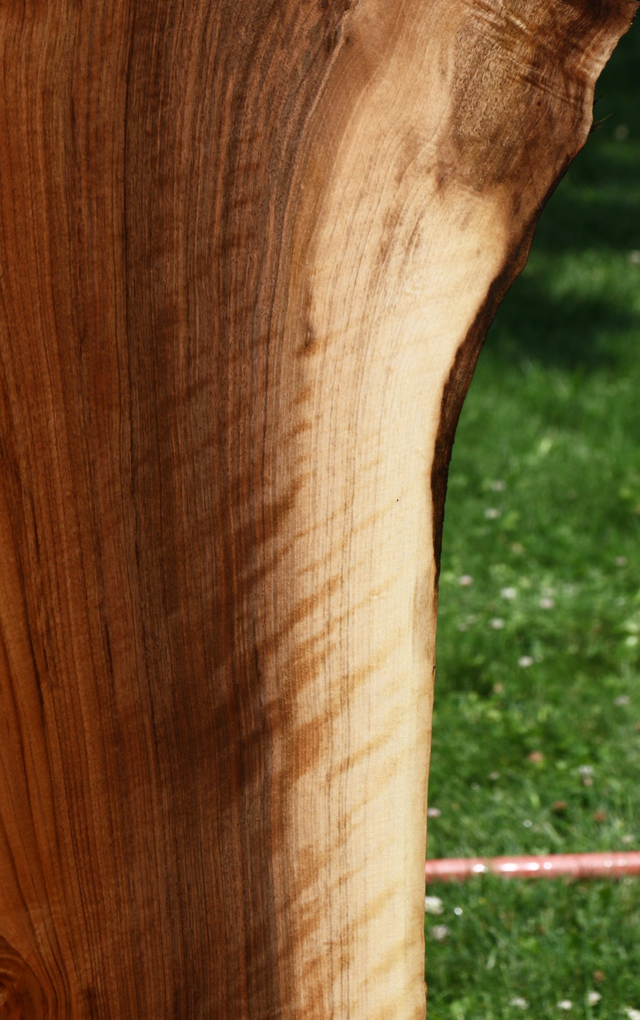 Extra Fancy English Walnut Live Edge Slab