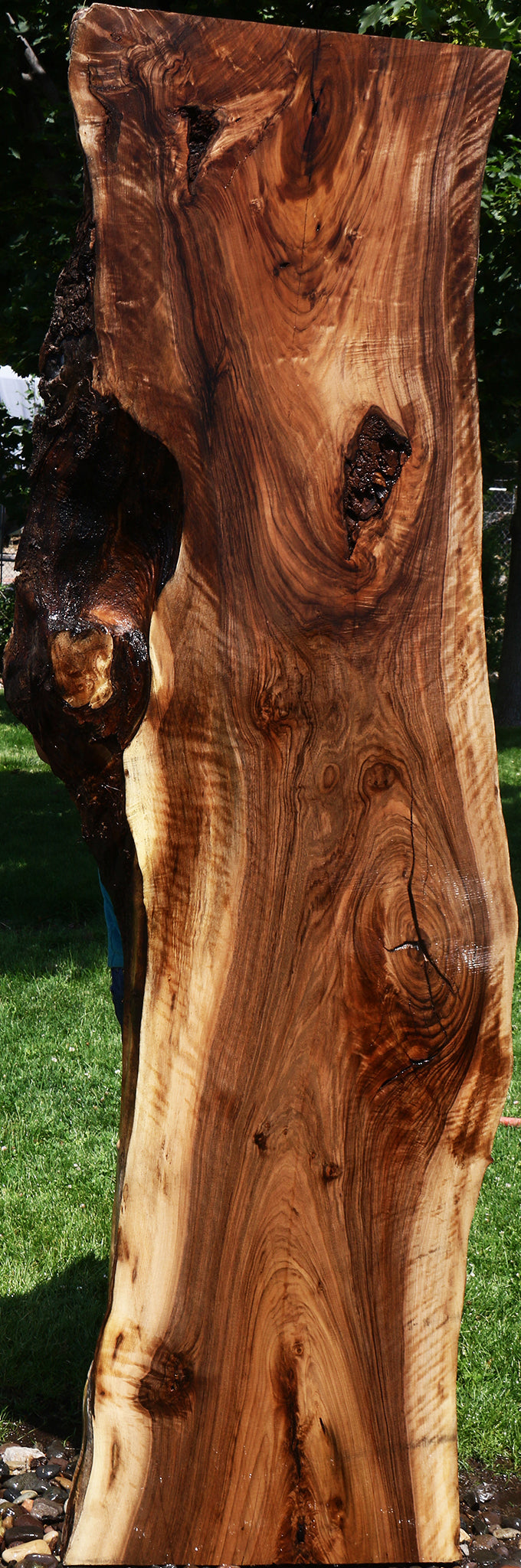 Extra Fancy English Walnut Live Edge Slab