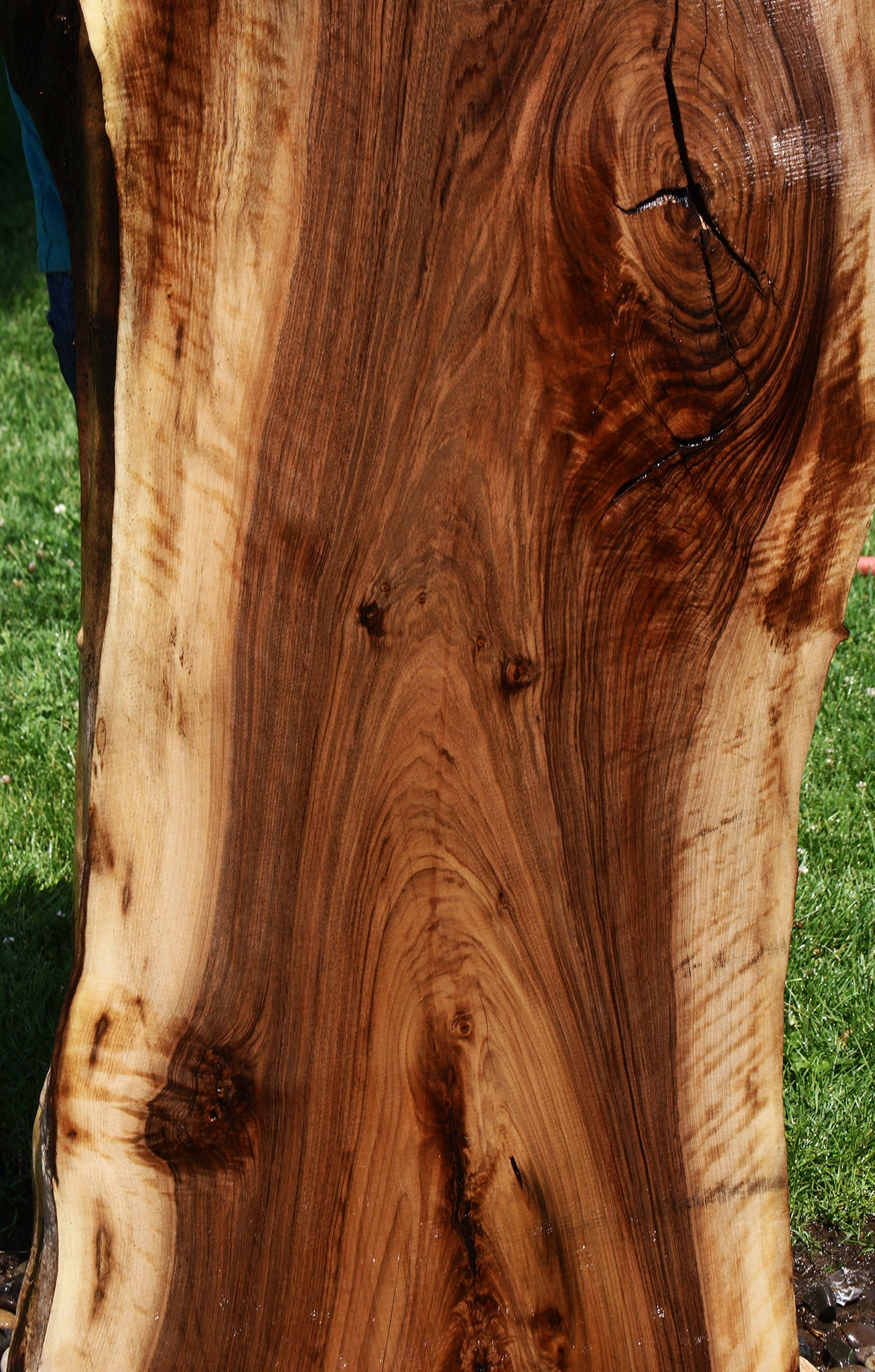 Extra Fancy English Walnut Live Edge Slab