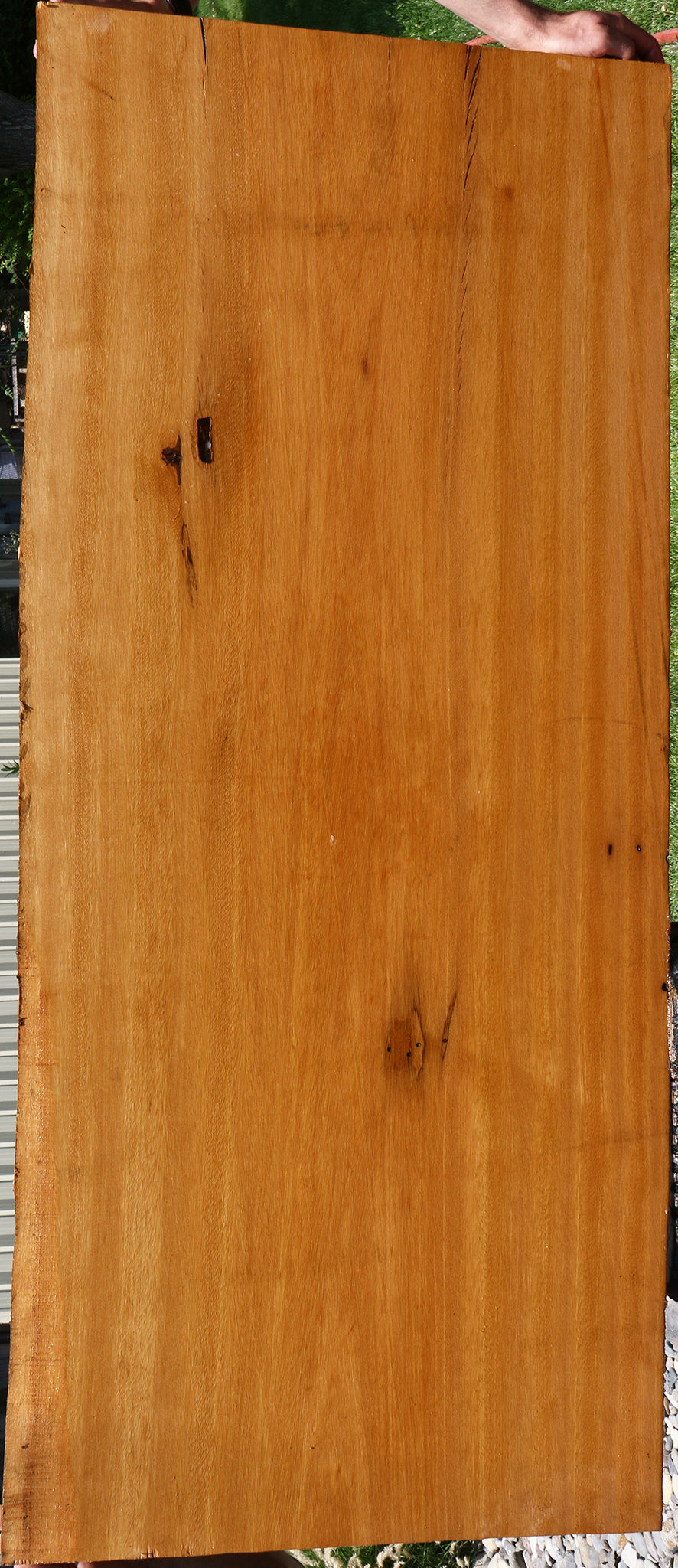 Piquiarana Live Edge Slab (Free Shipping Excluded)