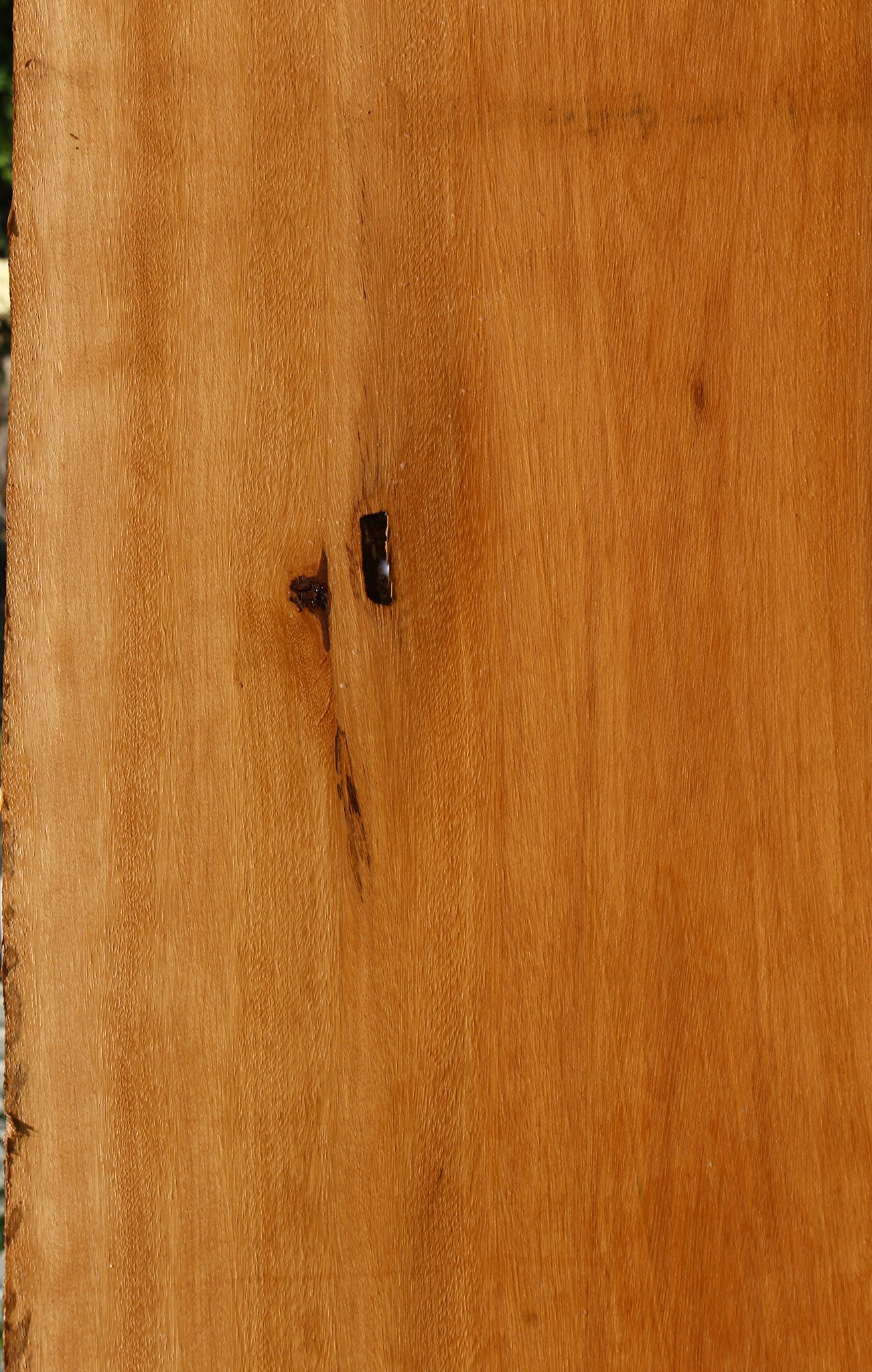 Piquiarana Live Edge Slab (Free Shipping Excluded)