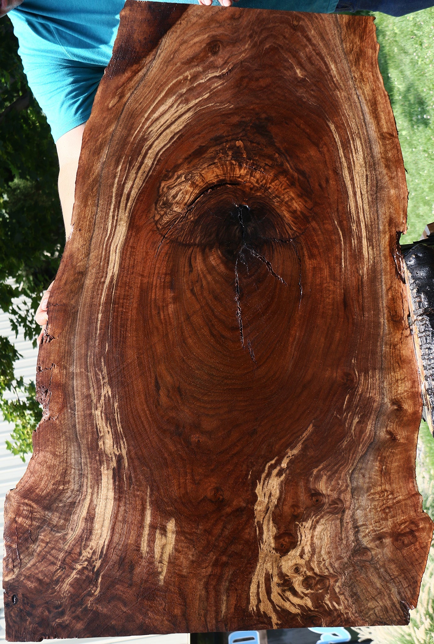 Extra Fancy Rustic Claro Walnut Live Edge Slab (Free Shipping Excluded)