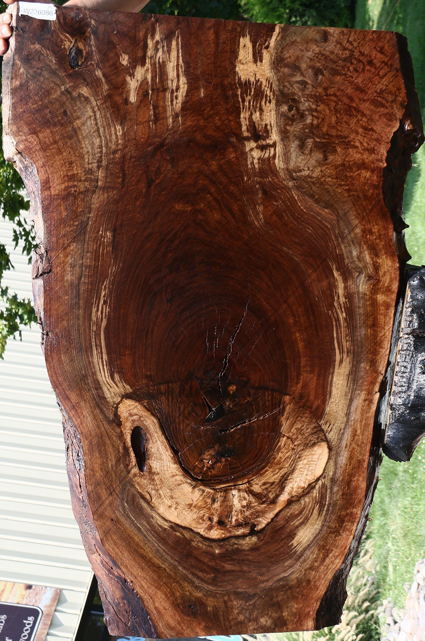 Extra Fancy Rustic Claro Walnut Live Edge Slab (Free Shipping Excluded)