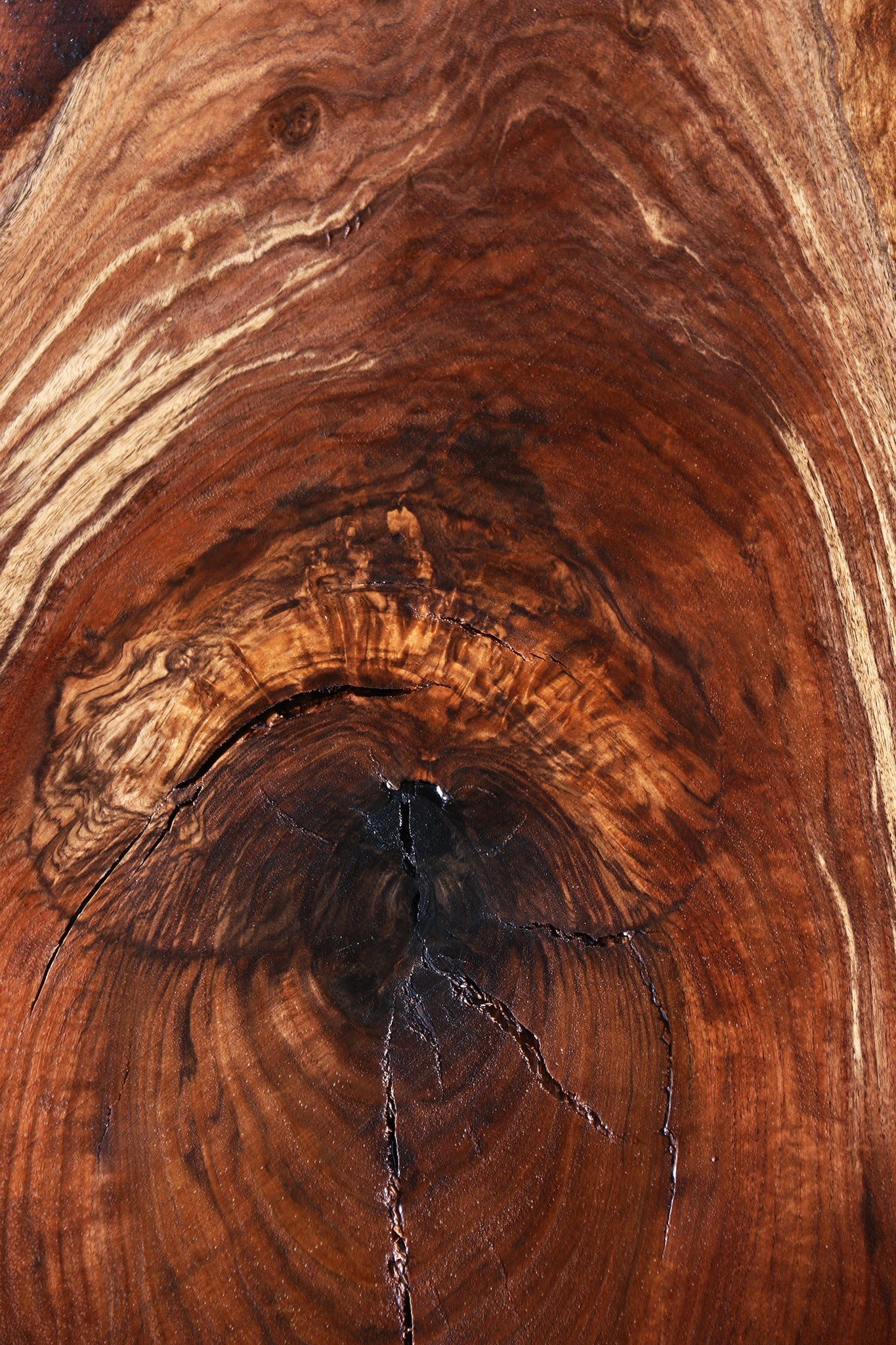 Extra Fancy Rustic Claro Walnut Live Edge Slab (Free Shipping Excluded)