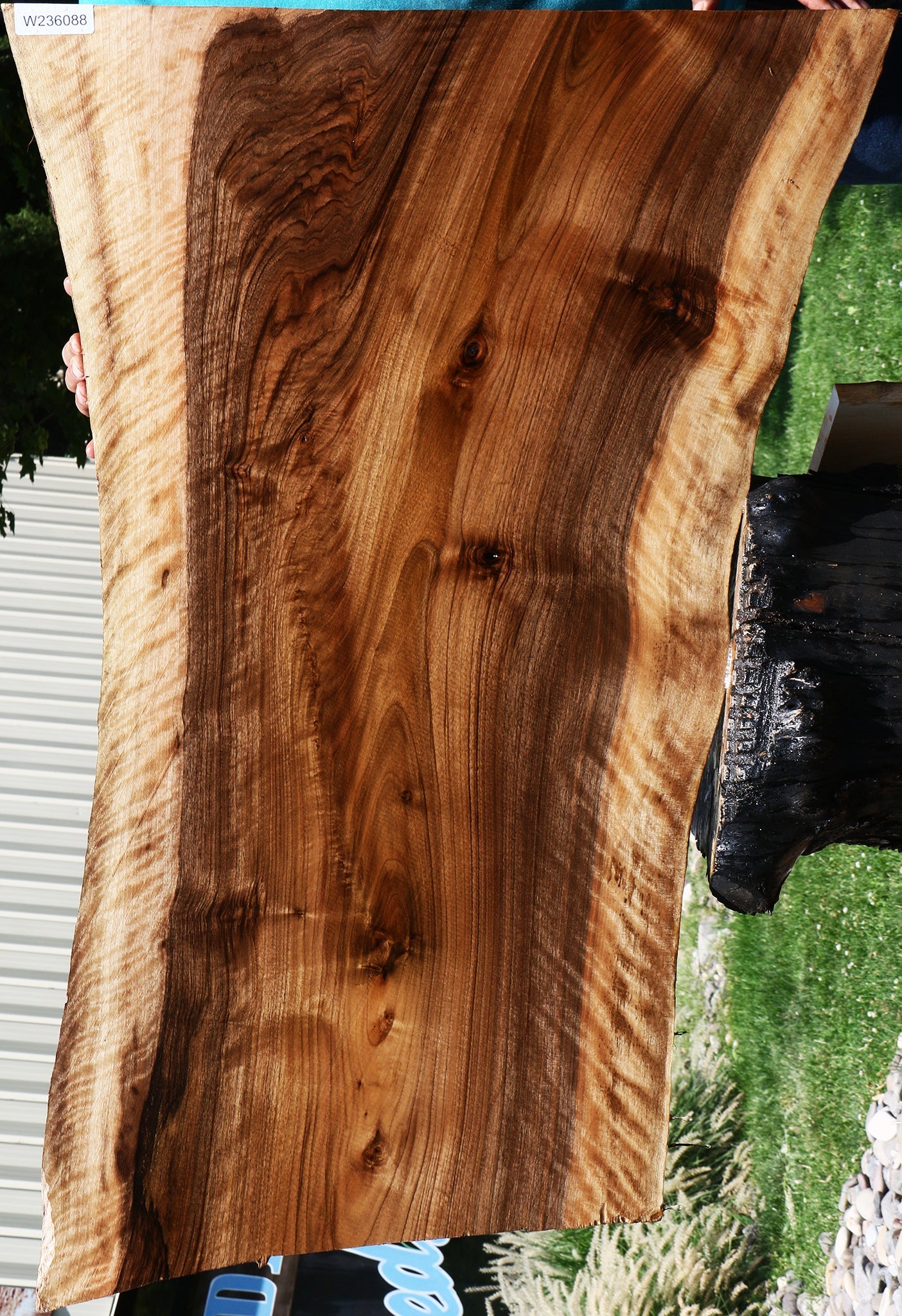 Extra Fancy English Walnut Live Edge Slab (Free Shipping Excluded)