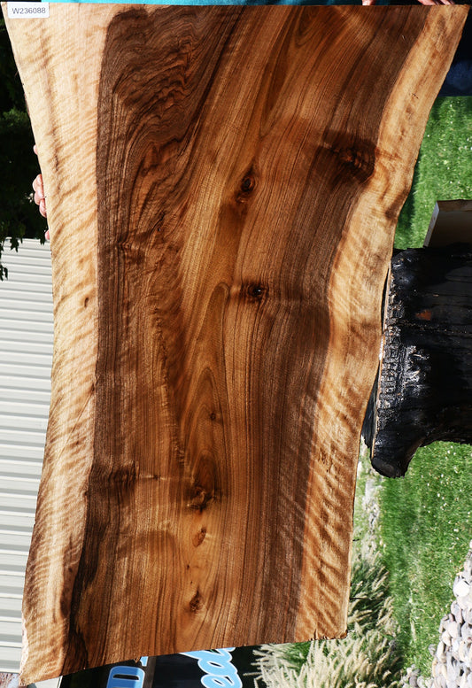 Extra Fancy English Walnut Live Edge Slab (Free Shipping Excluded)
