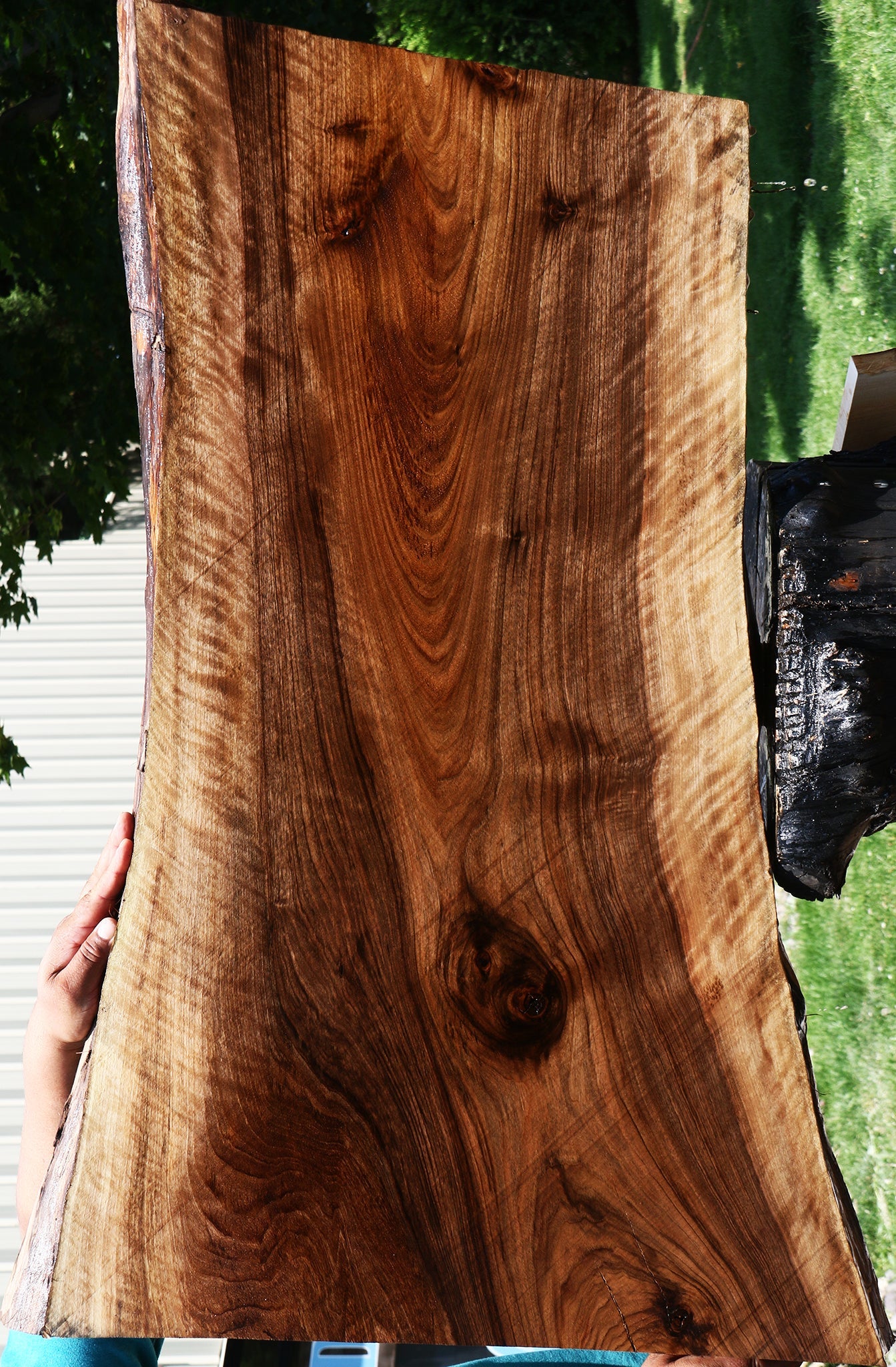 Extra Fancy English Walnut Live Edge Slab (Free Shipping Excluded)
