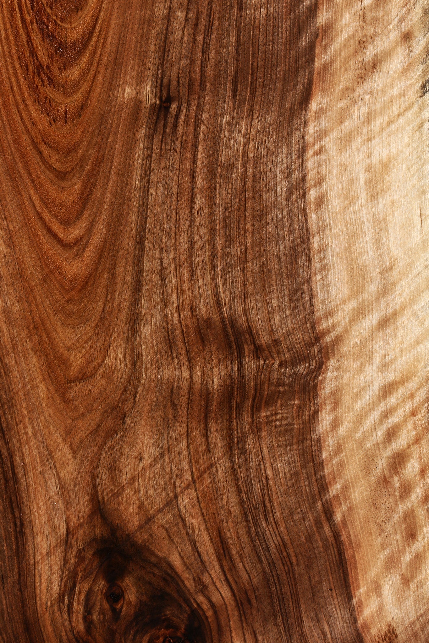Extra Fancy English Walnut Live Edge Slab (Free Shipping Excluded)