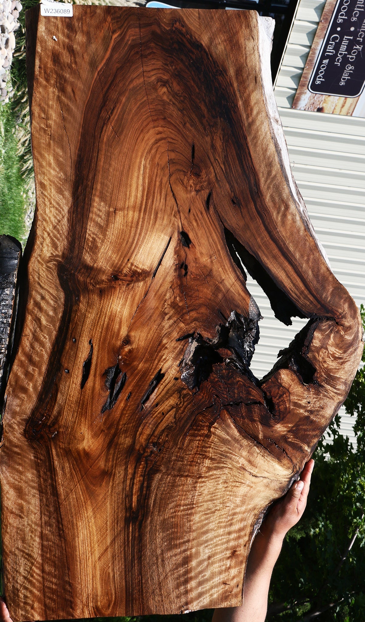 Extra Fancy English Walnut Live Edge Slab (Free Shipping Excluded)