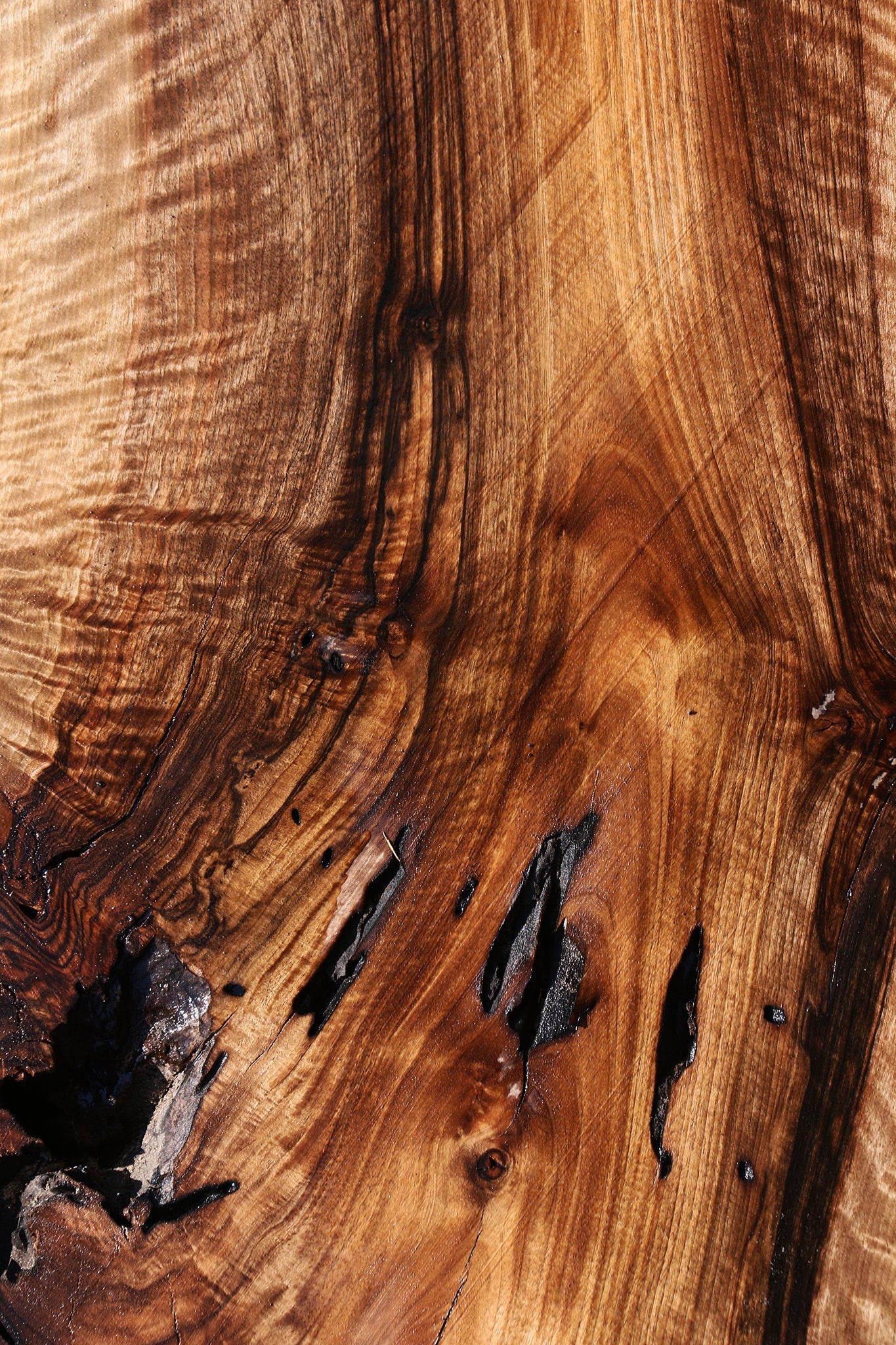 Extra Fancy English Walnut Live Edge Slab (Free Shipping Excluded)