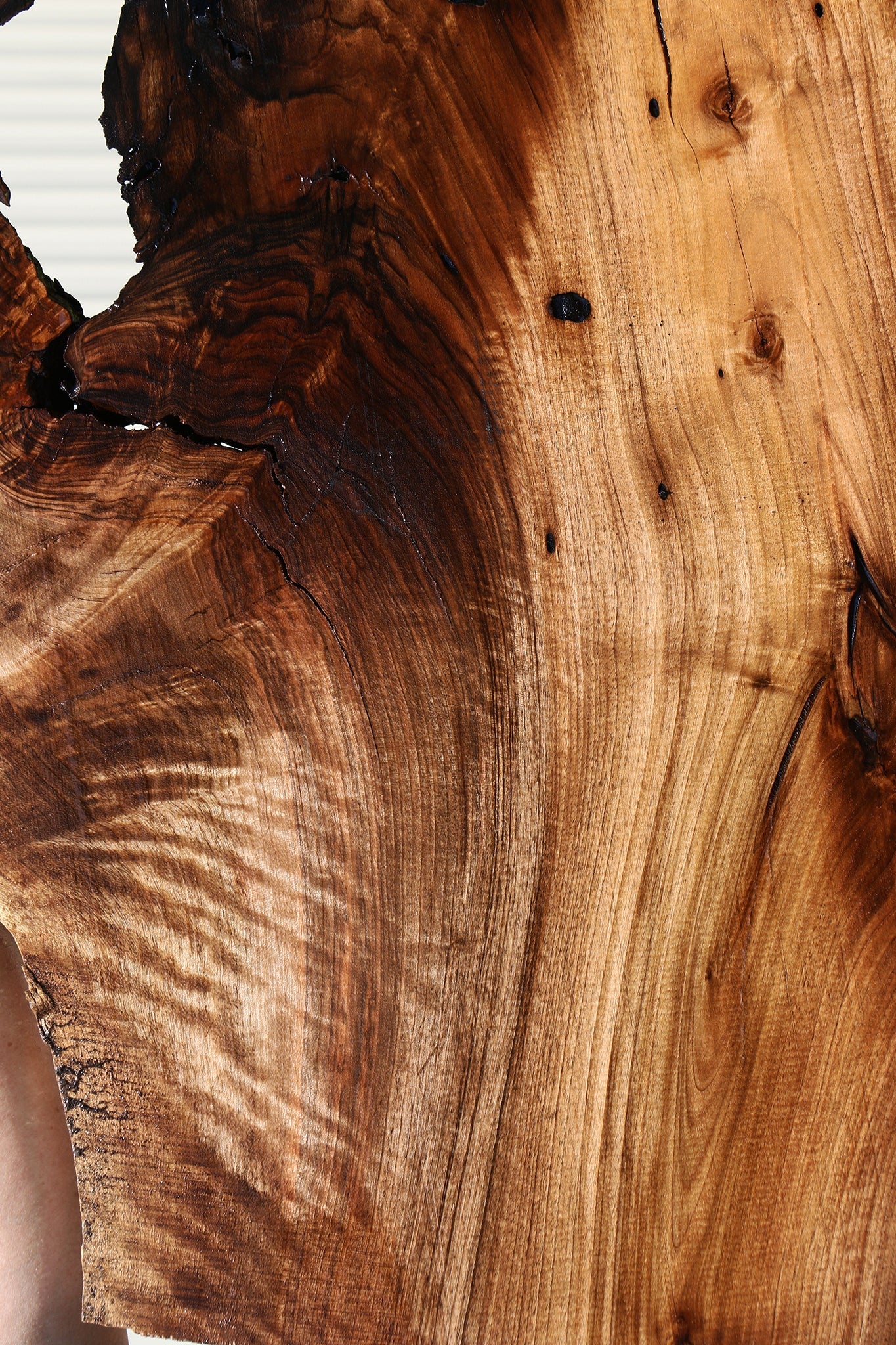 Extra Fancy English Walnut Live Edge Slab (Free Shipping Excluded)