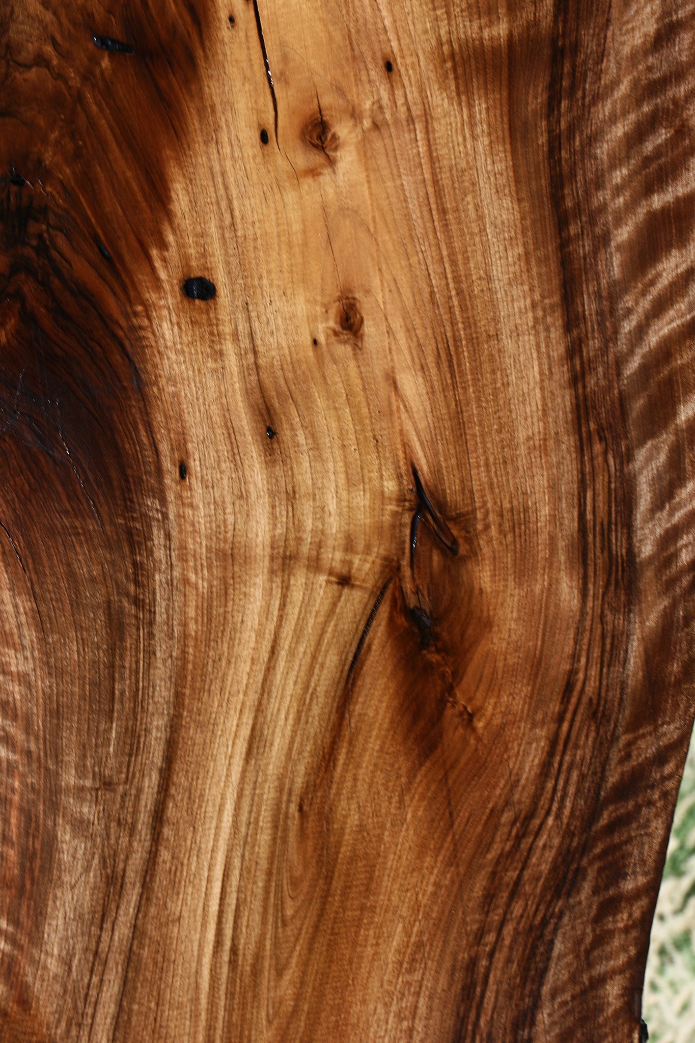 Extra Fancy English Walnut Live Edge Slab (Free Shipping Excluded)