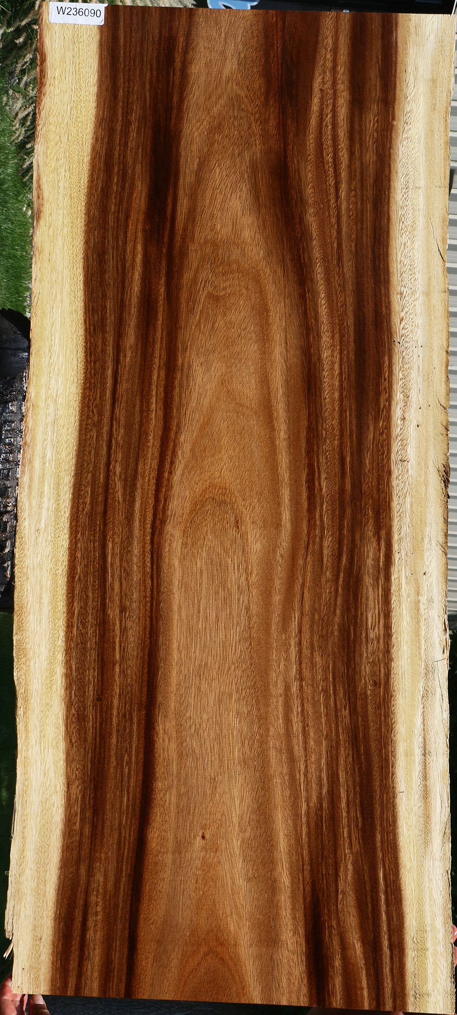 Monkeypod Live Edge Slab