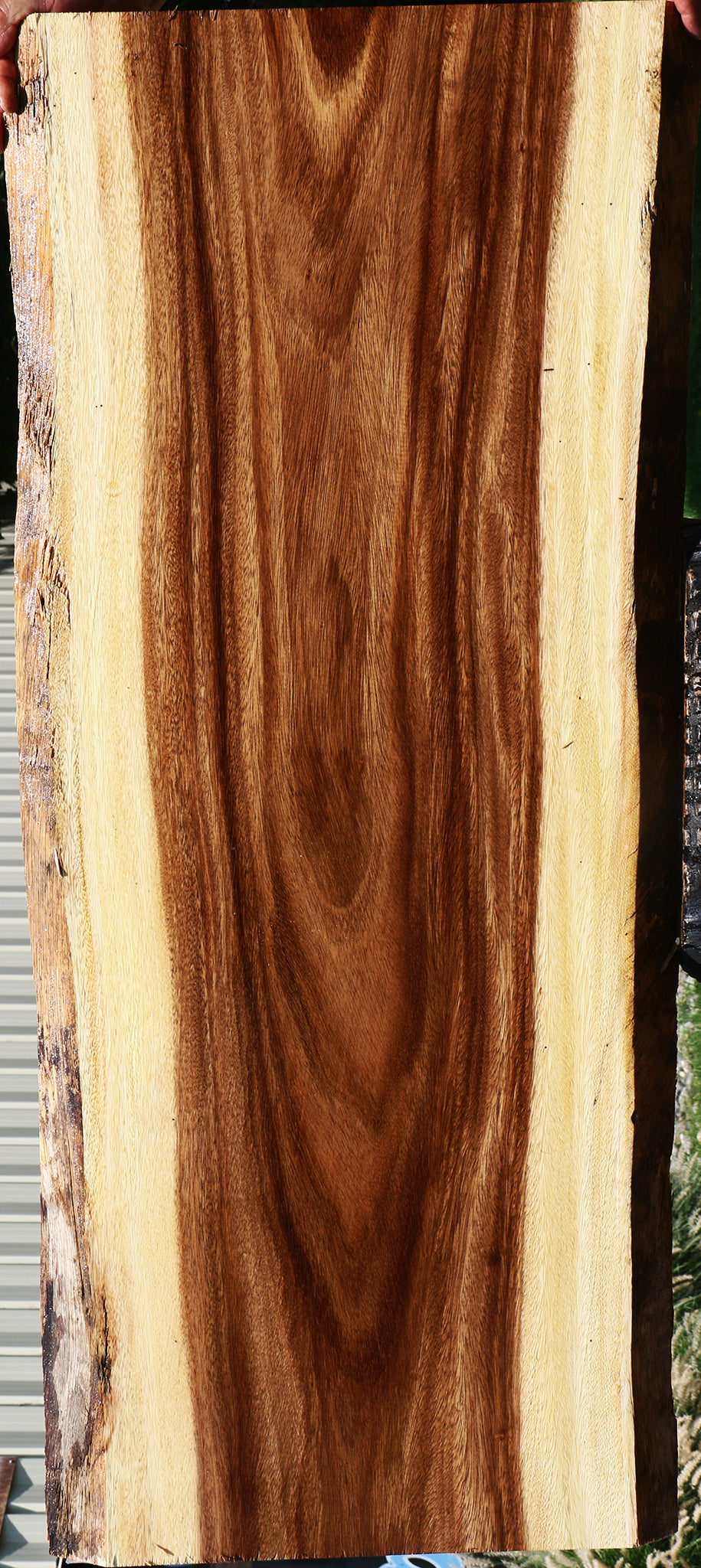 Monkeypod Live Edge Slab