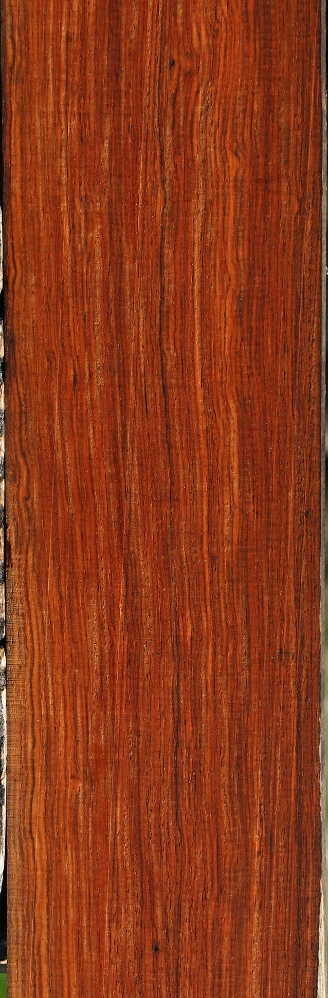 Quartersawn Cocobolo Instrument Lumber