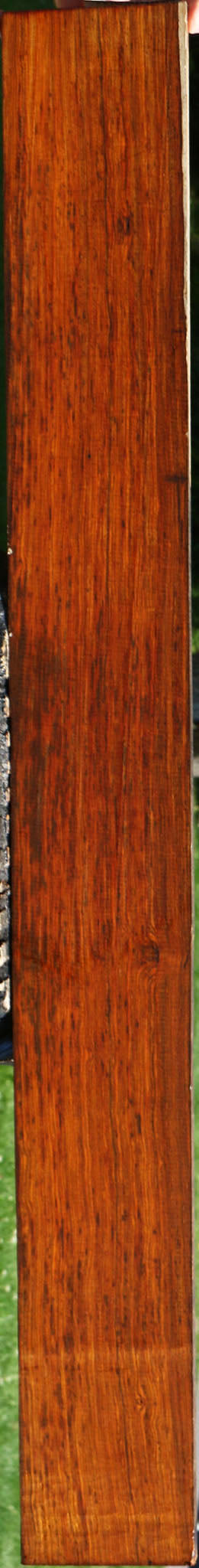 Quartersawn Cocobolo Instrument Lumber