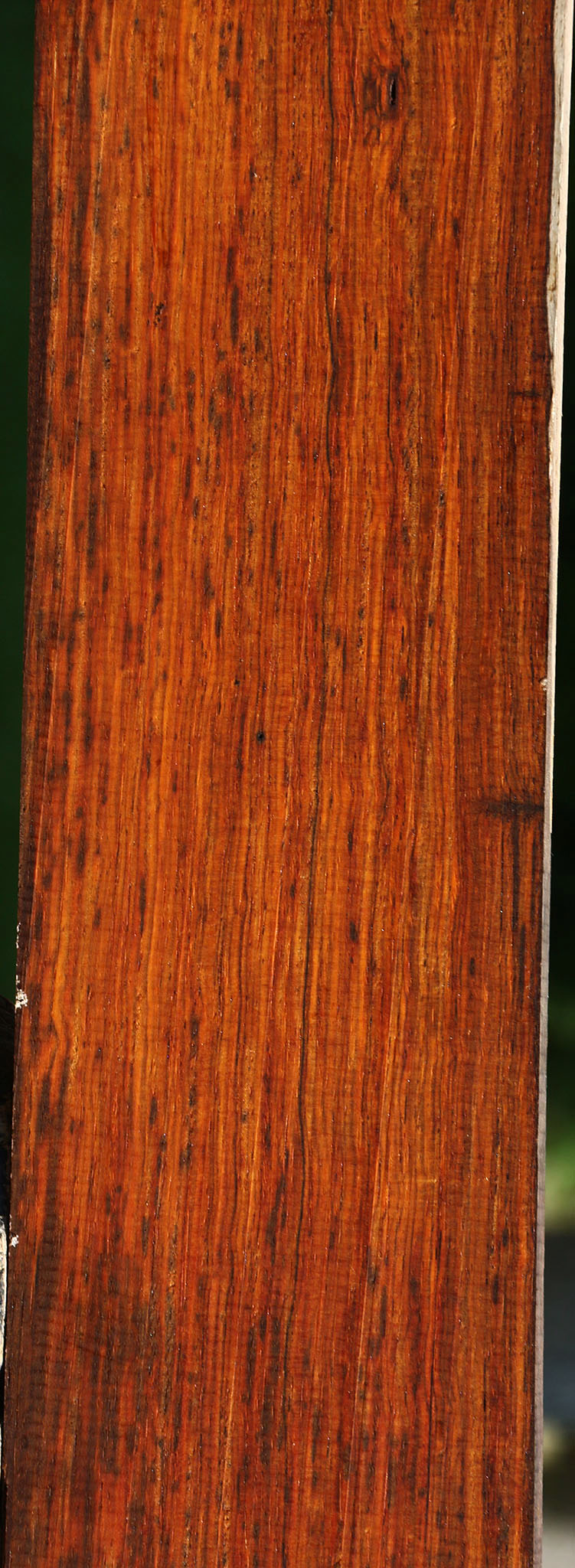 Quartersawn Cocobolo Instrument Lumber