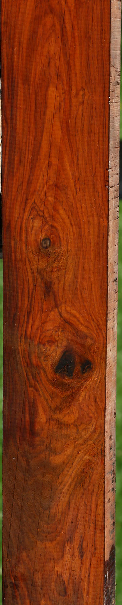 Cocobolo Lumber