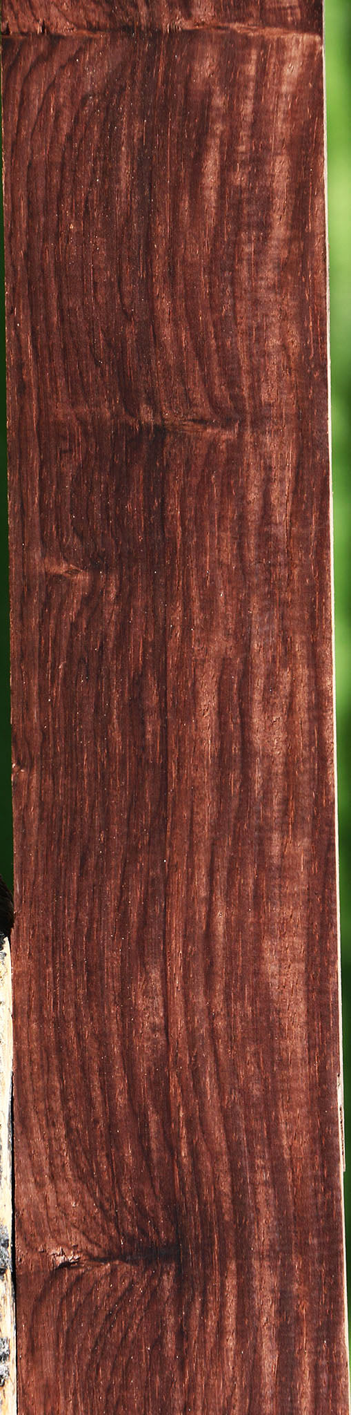 Figured Cocobolo Micro Lumber