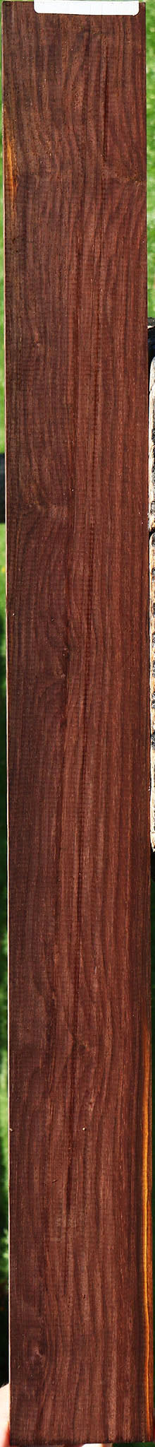 Cocobolo Micro Lumber