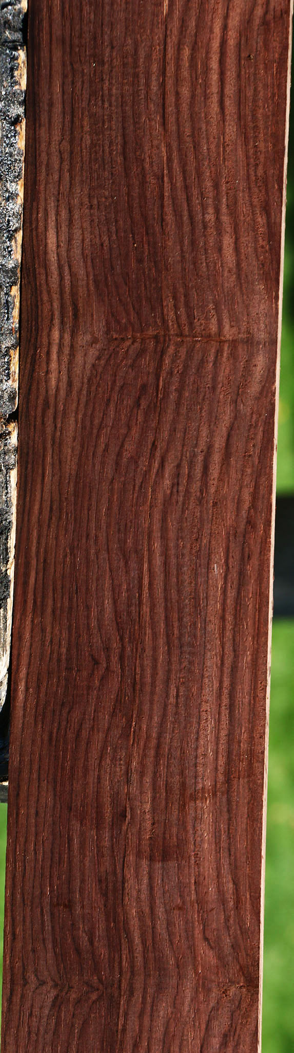 Cocobolo Micro Lumber