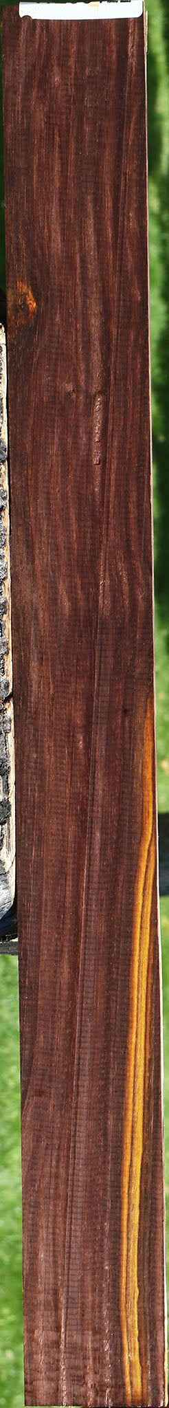 Cocobolo Micro Lumber
