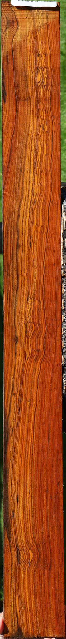 Extra Fancy Cocobolo Micro Lumber