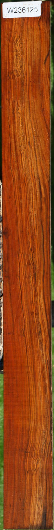 Extra Fancy Cocobolo Micro Lumber
