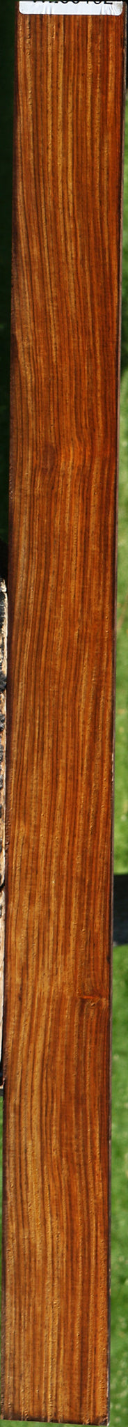 Quartersawn Cocobolo Micro Lumber