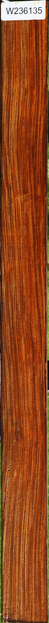 Cocobolo Micro Lumber